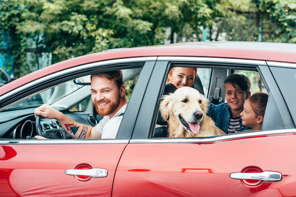 Tips on How to Successfully Road Trip with Your Pet(s)