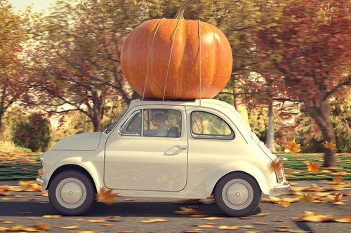 Top Pumpkin Patches Near San Jose, California